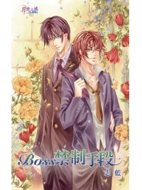 月光之城0077.BOSS禁制手段-作者:志藍